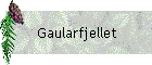 Gaularfjellet