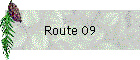 Route 09