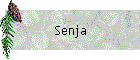 Senja
